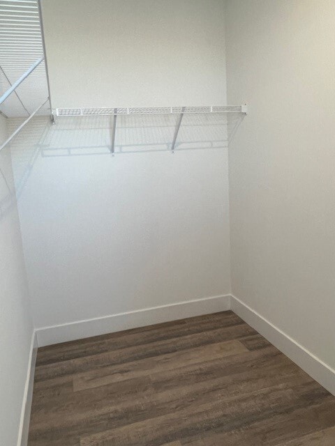 Master Closet - Celadon at Grandview Apartment Homes