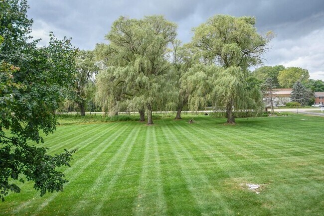 View from Bay Window - 20295 Independence Dr