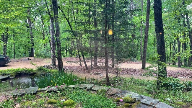 Foto del edificio - 561 Sand Mountain Rd