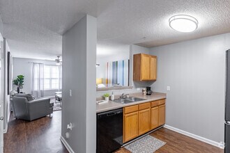 Interior Photo - The Deryn