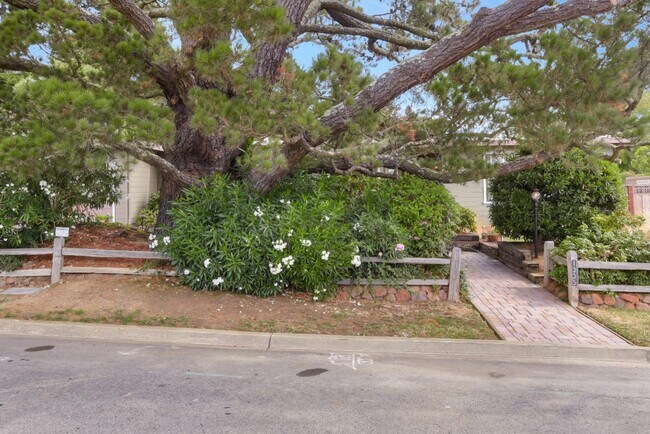 Building Photo - 1335 Parrott Dr