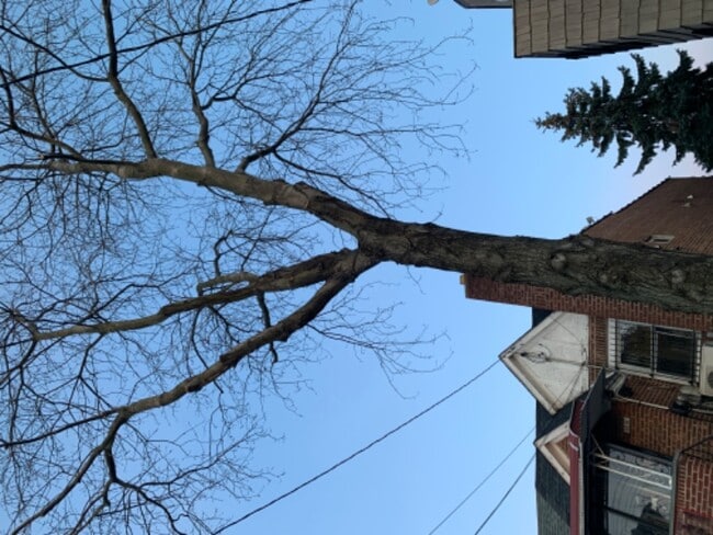 Photo - 45-45-4159 159th St Apartment