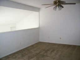 Foto del edificio - 11217 Briar Forest Dr