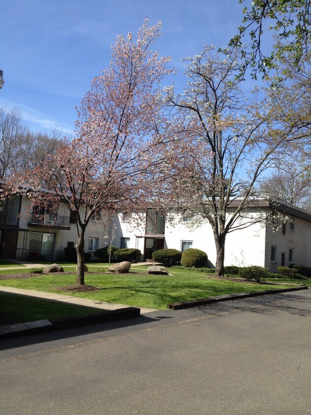 438 Fleeter Ct Unit 438, Kent, OH 44240 Condo for Rent in Kent, OH