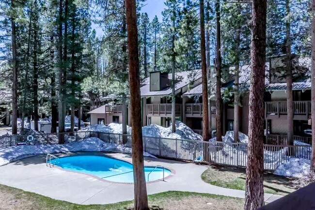Property Grounds & Pool - 2251 Meridian Blvd