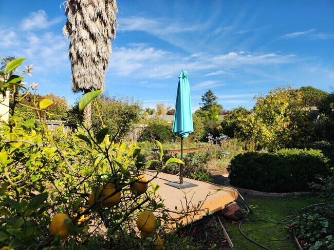 Foto del edificio - Two bedroom house in Redwood City