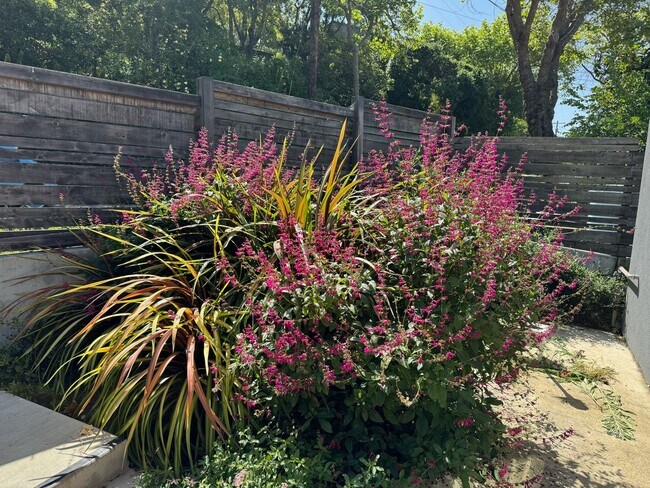 Building Photo - Modern Berkeley Hills Home