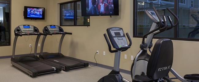 Fitness Center - Arbor Village