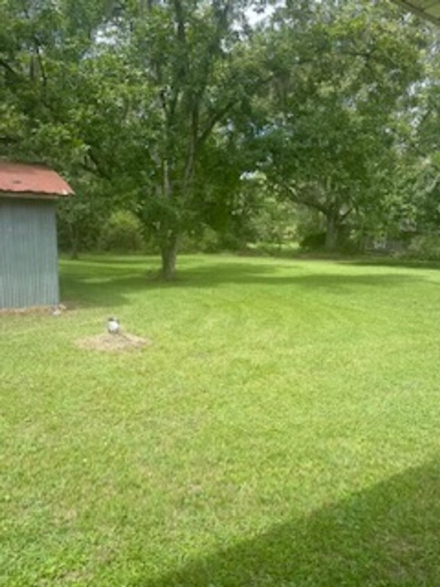 Foto del edificio - Sprawling Brick Ranch in Callahan