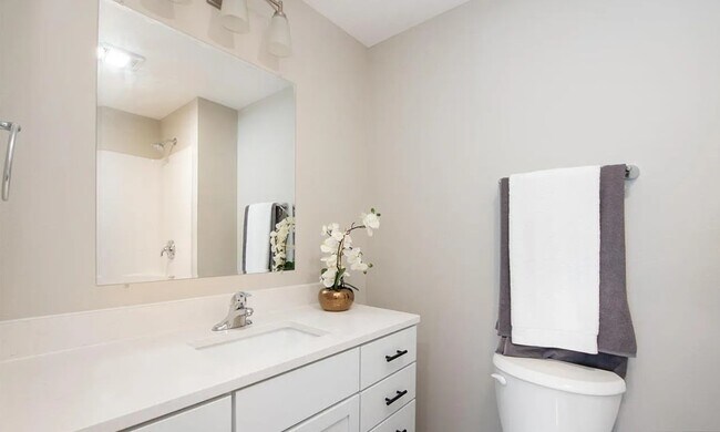 Foto del edificio - 3111 Scotch Ln