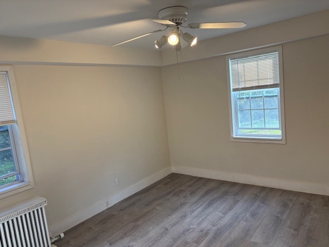 bedroom 2 - 844 Thorn St