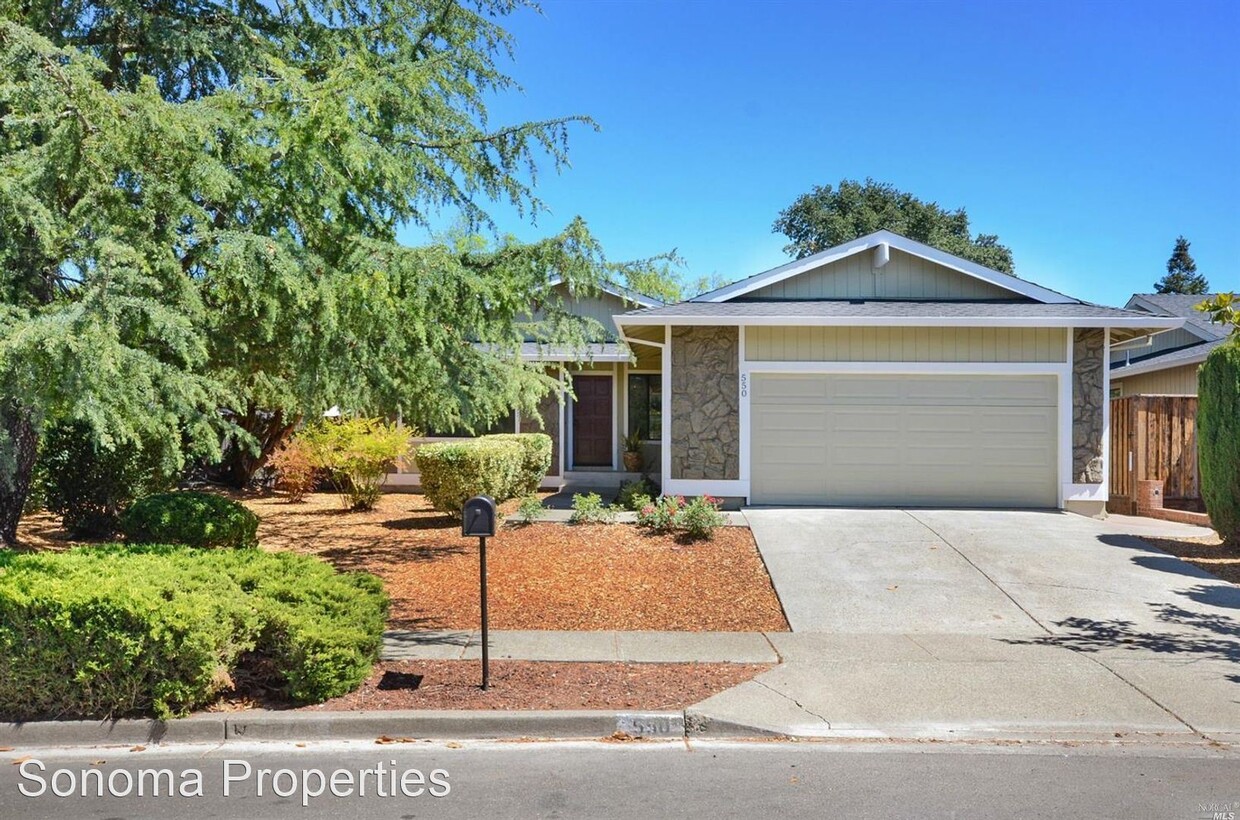 Primary Photo - 3 br, 2 bath House - 550 Lasuen Street