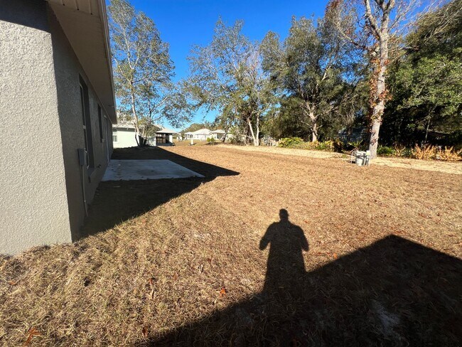 Building Photo - Available now! Gorgeous BRAND NEW 3 BD/ 2 ...