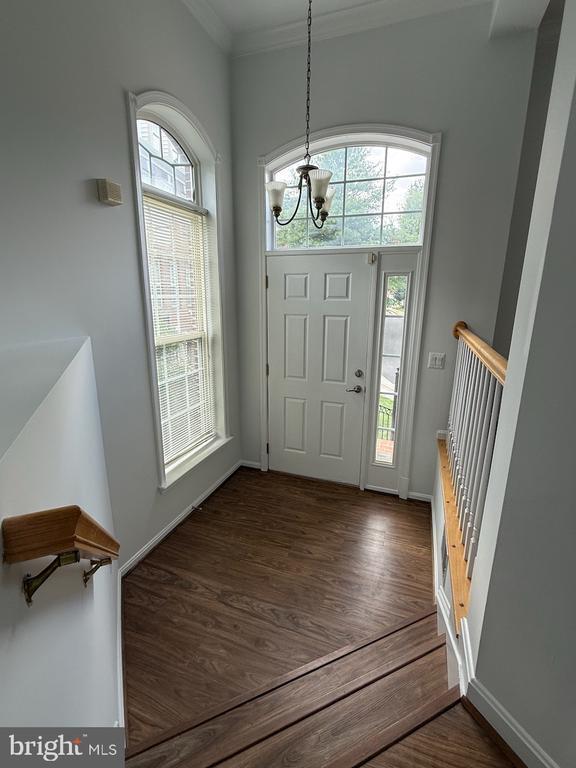 Foto del edificio - 2431 Cypress Green Ln