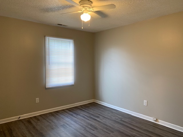 Building Photo - Newly Renovated Duplex in FIVE POINTS!!
