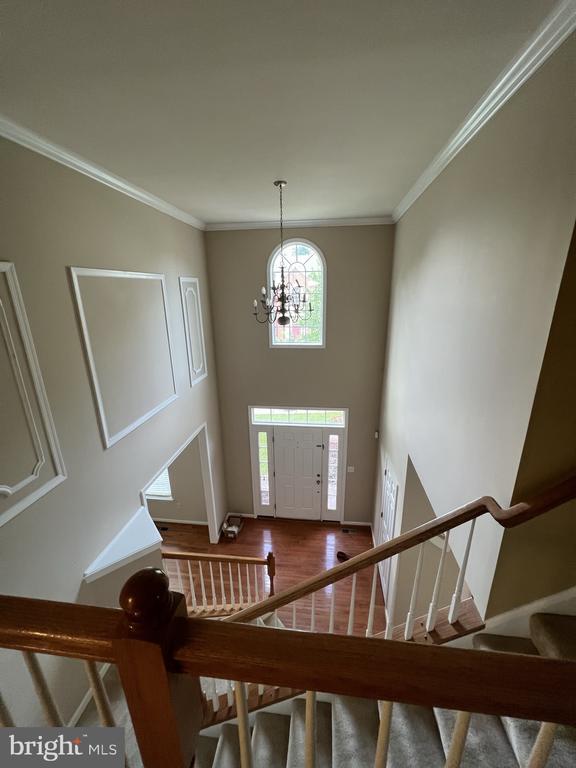 Foto del edificio - 4511 Nightingale Ct