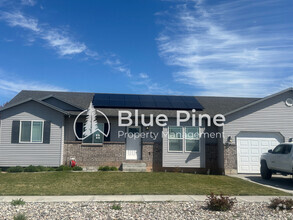 Building Photo - 3865 Cobalt Dr