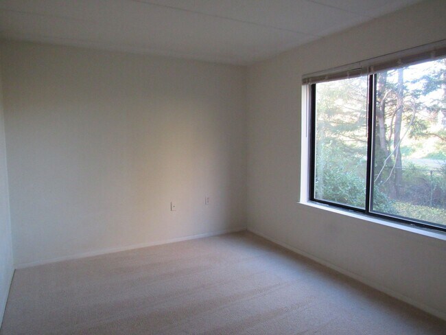 Foto del edificio - Leesburg Two bedroom condo with balcony