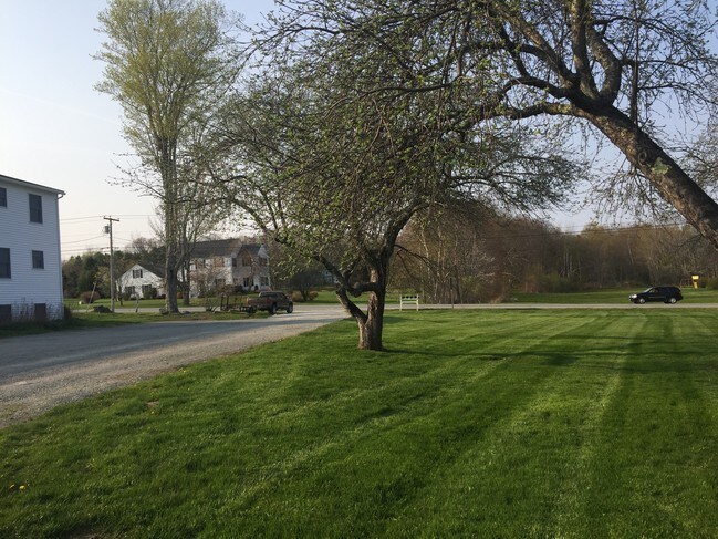front yard - 315 Western Ave