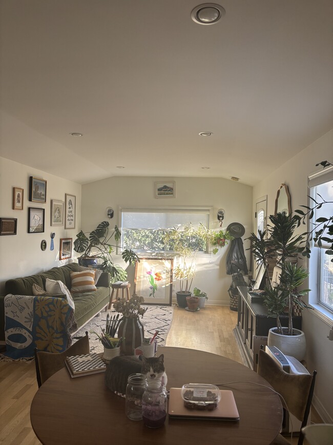 Building Photo - 333 N Occidental Blvd