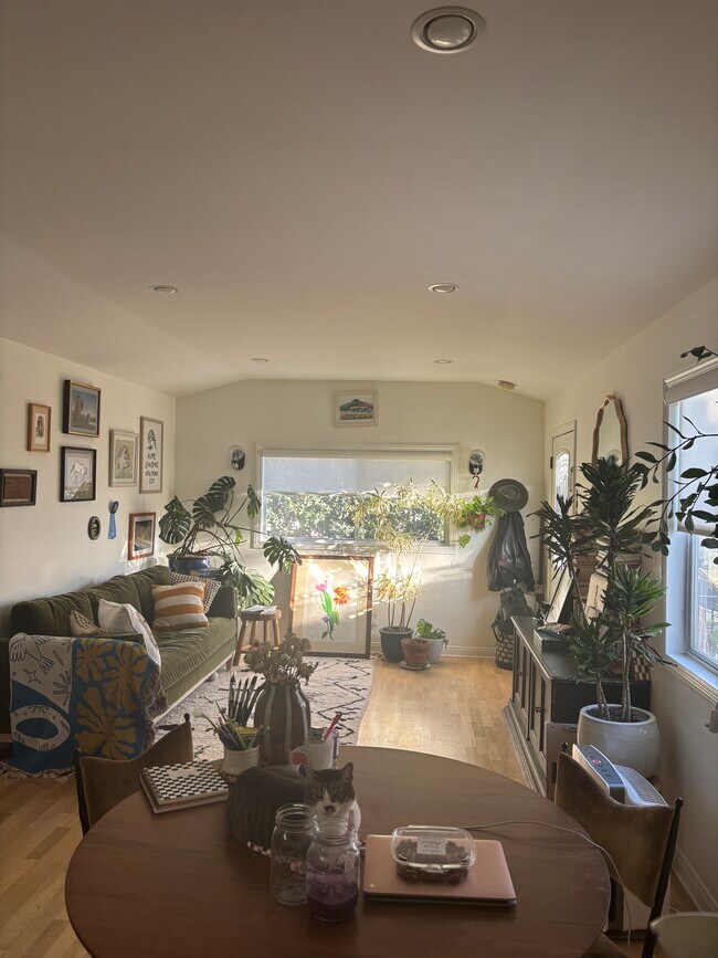 Foto del edificio - 333 N Occidental Blvd