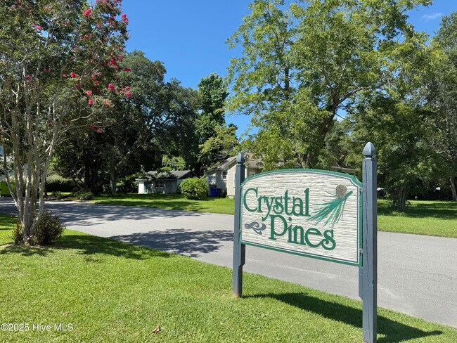 Foto del edificio - 126 Crystal Pines Ct
