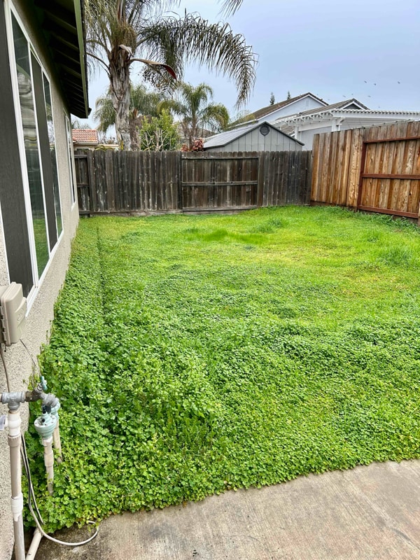 Building Photo - 5412 Etherington Ct