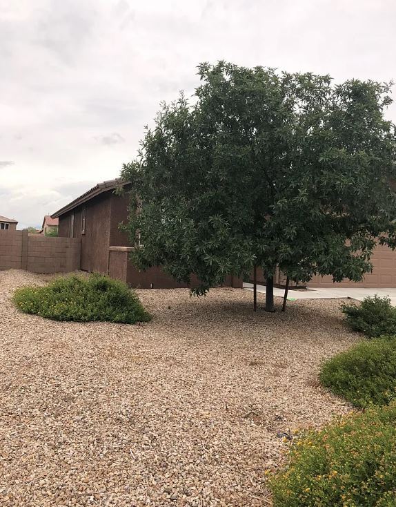 Foto del edificio - 10450 S Cutting Horse Dr