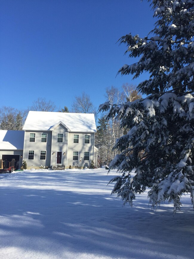 front yard view winter - 117 Cemetery Rd