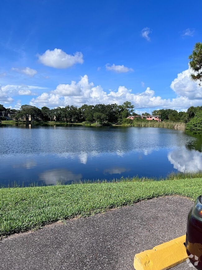 Hallmark Apartments under 1,000 Clearwater, FL 1 Rentals