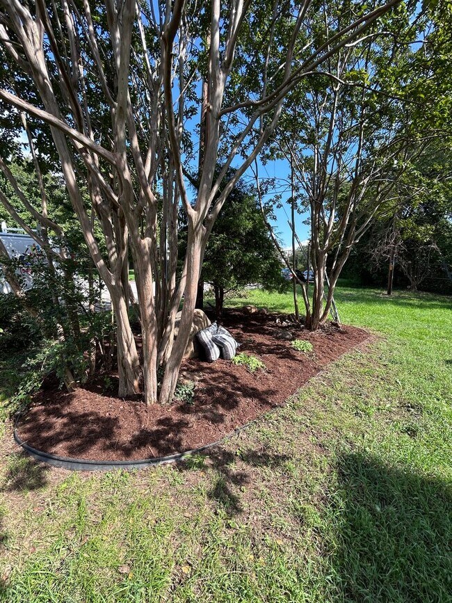 Building Photo - Spacious 3 BR home, Minutes to Medical Cen...
