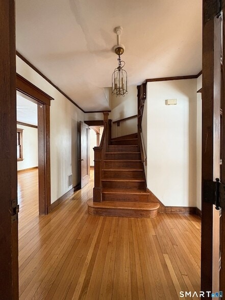 Building Photo - 49 Hubinger St