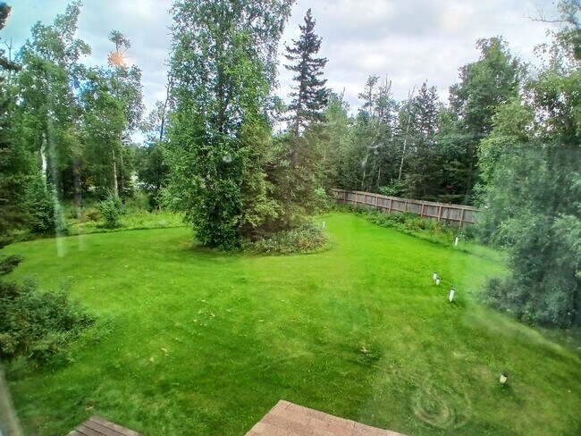Backyard - 320 E Victor Cir