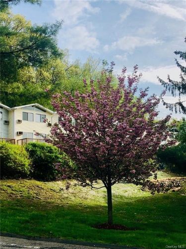 Foto del edificio - 24 Scenic Cir