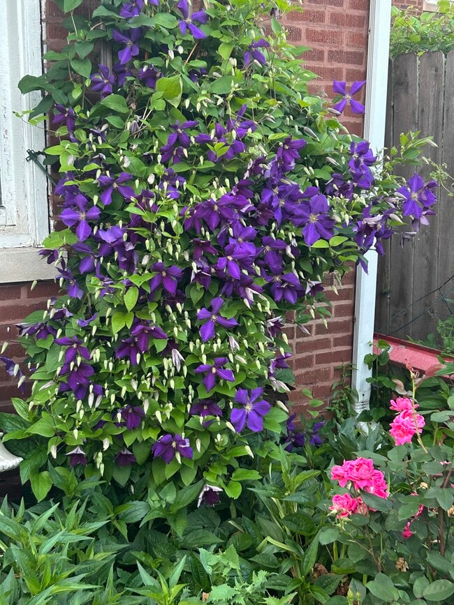 ¡Flores! - 220 W Harris Ave