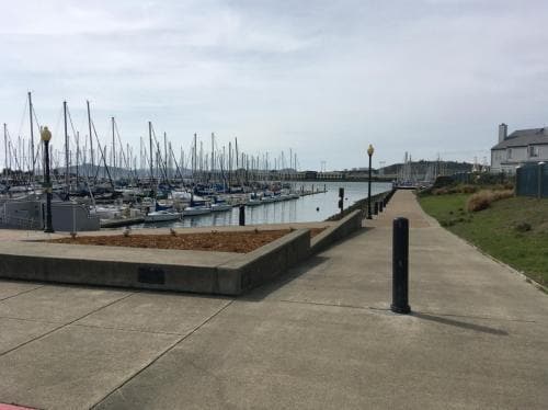 Building Photo - Prime Location Richmond Marina Townhouse