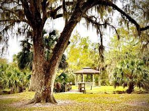 Foto del edificio - 314 Palm Coast Pkwy NE