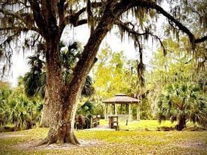 Building Photo - 314 Palm Coast Pkwy NE