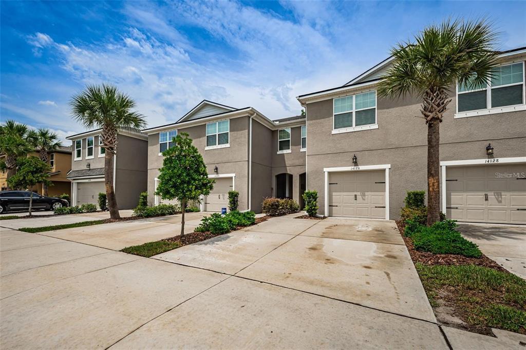 14126 Damselfly Dr, Citrus Park, FL 33625 Townhome Rentals in Citrus