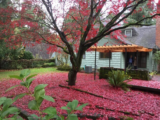 2. Patio trasero con árbol en flor y jardines de temporada. - 3846 NE Maywood Pl