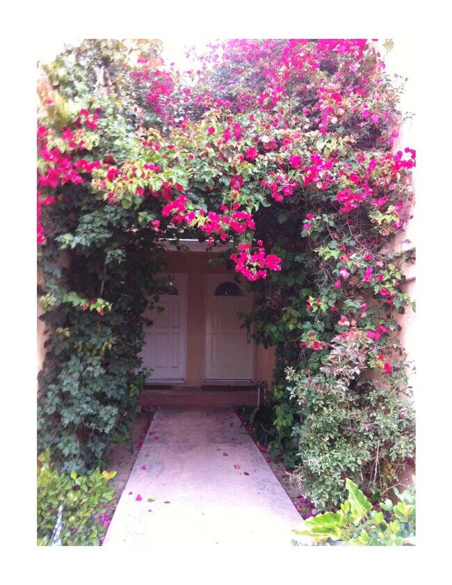 Walkway to front door - 1419 Manhattan Ave