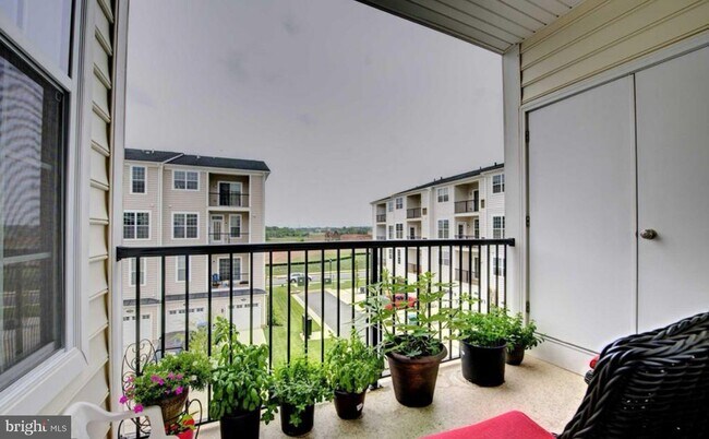 Foto del edificio - 23479 Buckland Farm Terrace