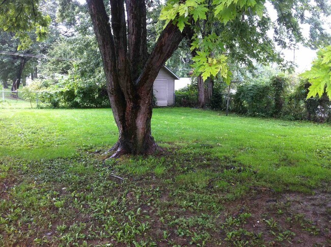 Foto del edificio - 3 Bed, 1 Bath w/2 bonus rooms - 5 min from Wright-Patt AFB, Cape Cod style in Riverside