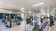 This well-equipped fitness center at 7007 W Indian School in Phoenix, Arizona, offers a thorough workout experience within a single-floor layout. The space is divided into distinct functional zones, each catering to different training needs. The cardio area features multiple treadmills and elliptical machines, positioned near windows that allow natural light to brighten the space. A dedicated strength-training section houses a full rack of dumbbells in graduated weights, complemented by a variety of Life Fitness cable and weight machines suited for both upper and lower body workouts. Additional equipment includes a rowing machine, a flat bench, and a multi-functional cable station, providing options for a complete full-body regimen. Floor-to-ceiling mirrors line key sections of the walls, enhancing the sense of openness and allowing members to monitor their form. The flooring transitions between rubberized fitness matting and light-toned hardwood-style surfaces, providing both durability and a clean aesthetic. A bold teal accent wall adds a modern visual element to the otherwise neutral palette. Multiple windows throughout the space ensure consistent natural light and ventilation, creating a bright and motivating workout environment.