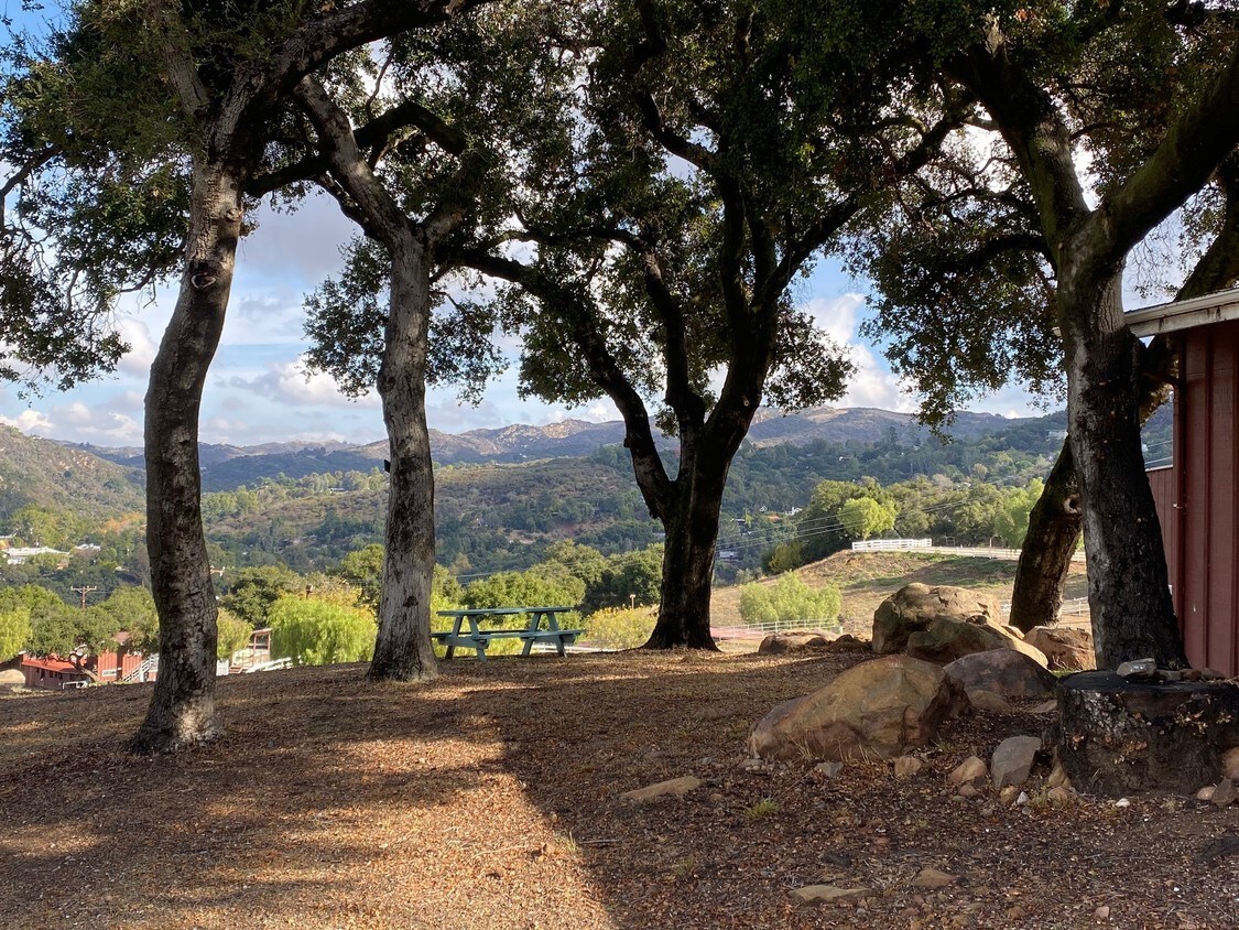 121 Old Topanga Canyon Rd, Topanga, CA 90290 Apartments in Topanga