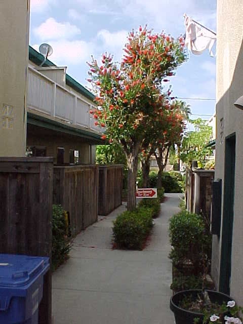 Photo - 2010 Ruhland Ave House