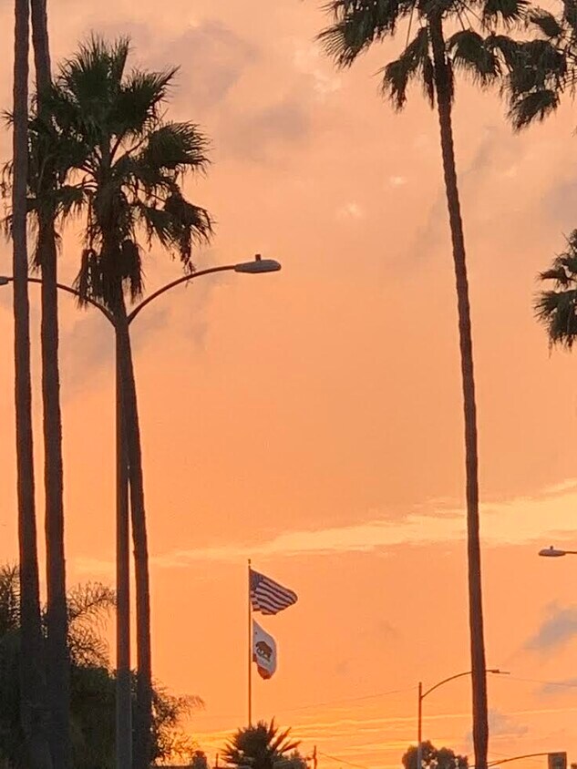 Primary Photo - 1451 Manhattan Beach Blvd