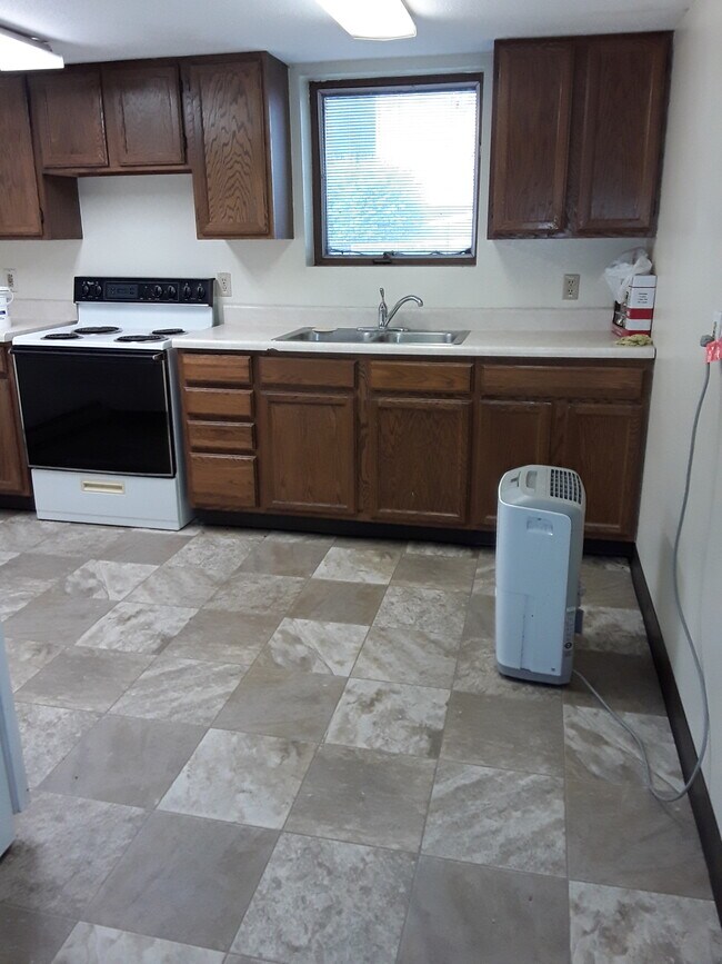 kitchen - 315 Hamline St