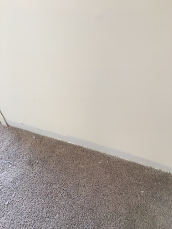 1297 Rogers Ave, Raceland, KY 41169 House Rental in Raceland, KY