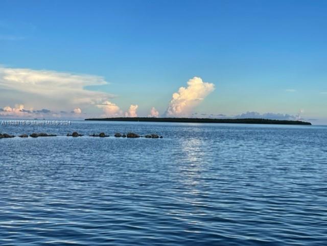 Foto del edificio - 320 Little Miss Muffett Ln